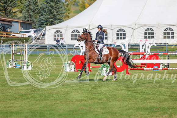 2025 - Shea - Fall Finale - Sunday September 14th - 06556