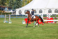 2025 - Shea - Fall Finale - Sunday September 14th - 06557
