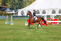 2025 - Shea - Fall Finale - Sunday September 14th - 06558