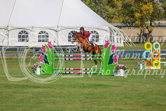 2025 - Shea - Fall Finale - Sunday September 14th - 06440