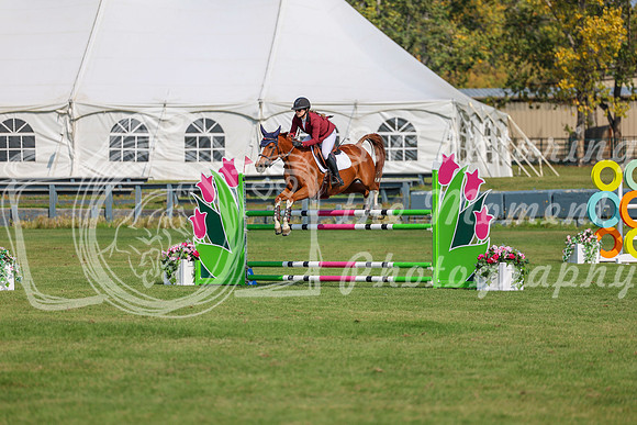 2025 - Shea - Fall Finale - Sunday September 14th - 06446
