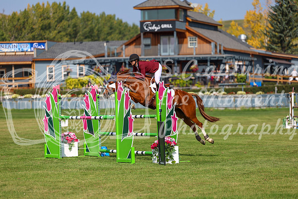 2025 - Shea - Fall Finale - Sunday September 14th - 06452