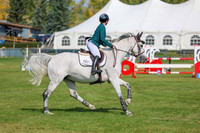 2025 - Shea - Fall Finale - Sunday September 14th - 06232