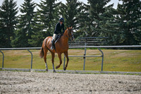 2025 - Petra - Harvest Horse Show - Sunday, September 14th 11398