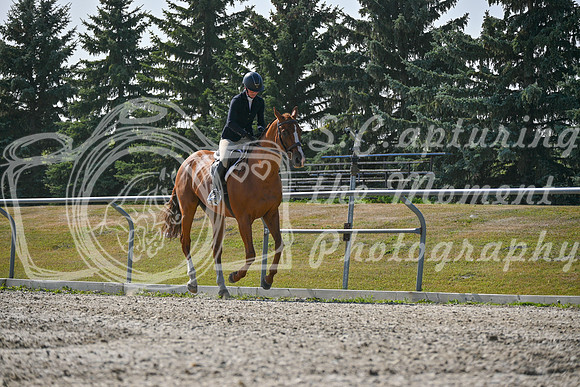 2025 - Petra - Harvest Horse Show - Sunday, September 14th 11398