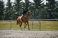 2025 - Petra - Harvest Horse Show - Sunday, September 14th 11399