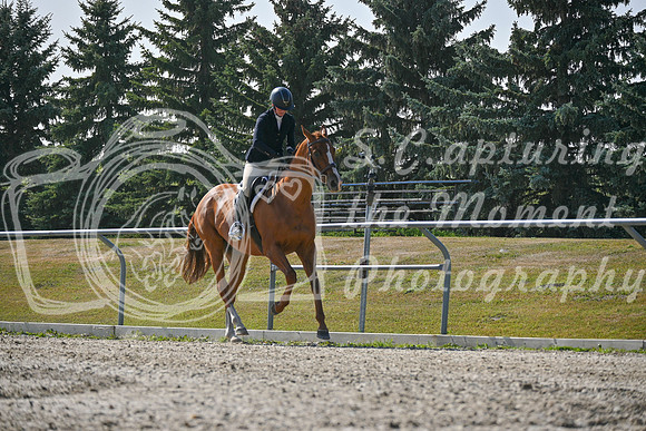 2025 - Petra - Harvest Horse Show - Sunday, September 14th 11399