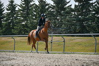 2025 - Petra - Harvest Horse Show - Sunday, September 14th 11400