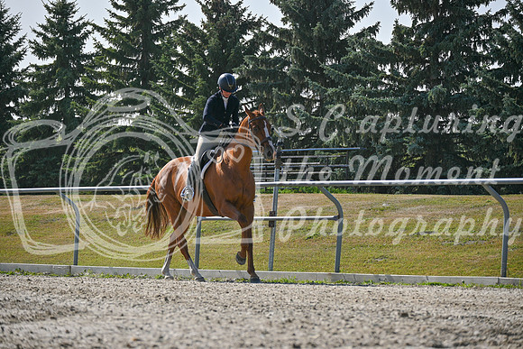 2025 - Petra - Harvest Horse Show - Sunday, September 14th 11400