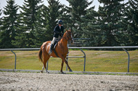 2025 - Petra - Harvest Horse Show - Sunday, September 14th 11401