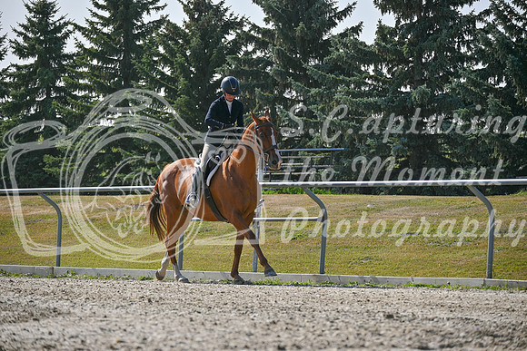 2025 - Petra - Harvest Horse Show - Sunday, September 14th 11401