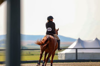 2025 - Mara - Fall Finale - Sunday September 14th - 13349