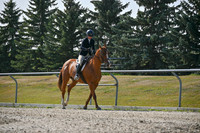 2025 - Petra - Harvest Horse Show - Sunday, September 14th 11402