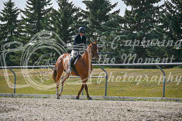 2025 - Petra - Harvest Horse Show - Sunday, September 14th 11402