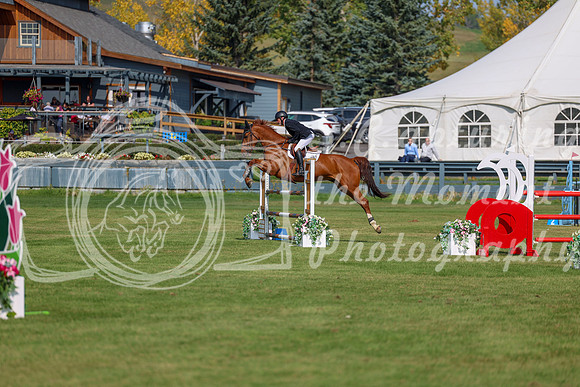 2025 - Shea - Fall Finale - Sunday September 14th - 06669