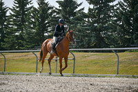 2025 - Petra - Harvest Horse Show - Sunday, September 14th 11403
