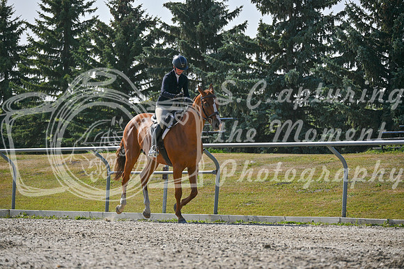 2025 - Petra - Harvest Horse Show - Sunday, September 14th 11403