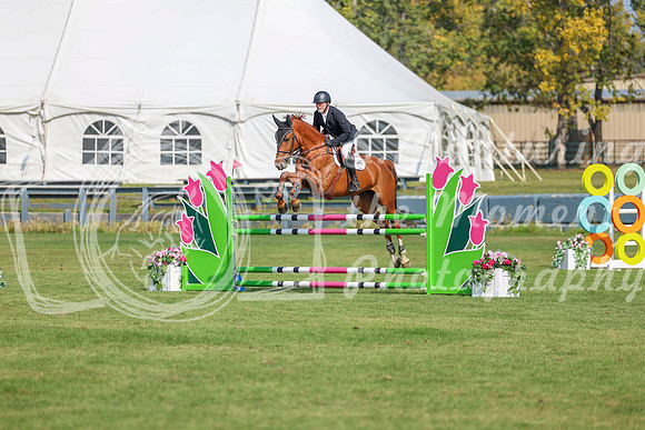 2025 - Shea - Fall Finale - Sunday September 14th - 06677