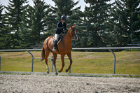 2025 - Petra - Harvest Horse Show - Sunday, September 14th 11404