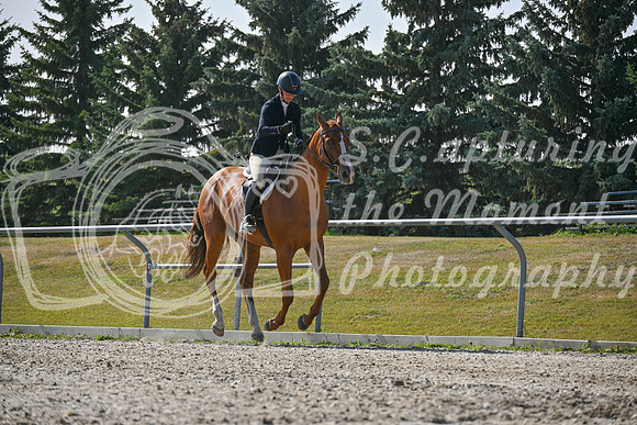 2025 - Petra - Harvest Horse Show - Sunday, September 14th 11404