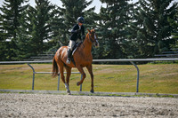 2025 - Petra - Harvest Horse Show - Sunday, September 14th 11405