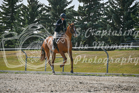 2025 - Petra - Harvest Horse Show - Sunday, September 14th 11405