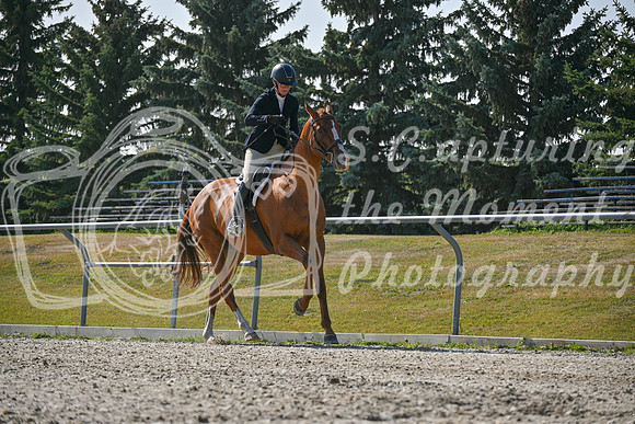2025 - Petra - Harvest Horse Show - Sunday, September 14th 11406