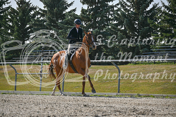 2025 - Petra - Harvest Horse Show - Sunday, September 14th 11407