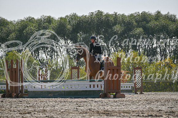 2025 - Petra - Harvest Horse Show - Sunday, September 14th 11408