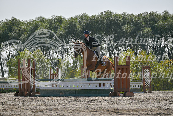 2025 - Petra - Harvest Horse Show - Sunday, September 14th 11410
