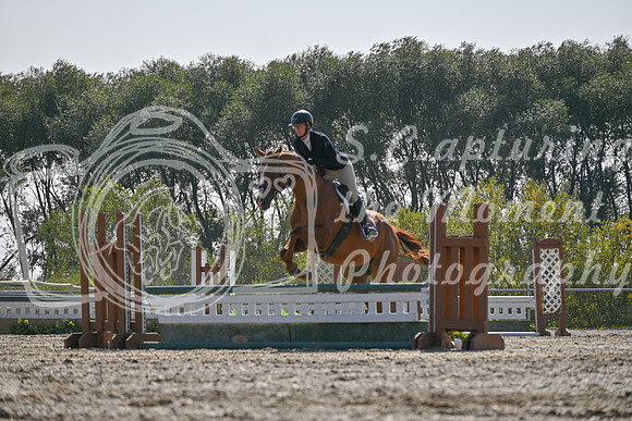 2025 - Petra - Harvest Horse Show - Sunday, September 14th 11411