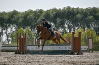 2025 - Petra - Harvest Horse Show - Sunday, September 14th 11413