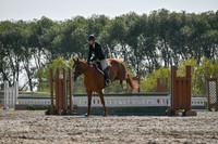 2025 - Petra - Harvest Horse Show - Sunday, September 14th 11415