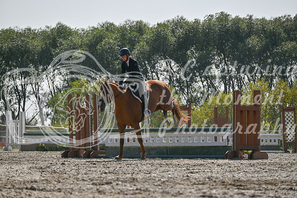 2025 - Petra - Harvest Horse Show - Sunday, September 14th 11415