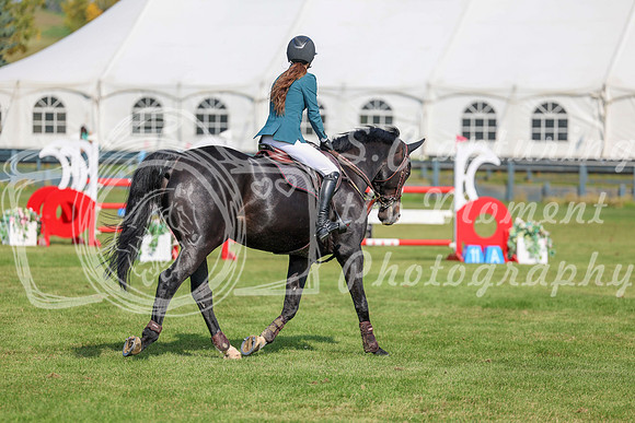 2025 - Shea - Fall Finale - Sunday September 14th - 05900