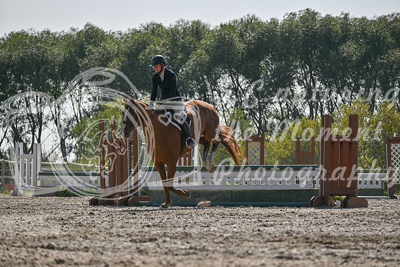2025 - Petra - Harvest Horse Show - Sunday, September 14th 11416