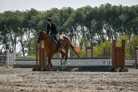 2025 - Petra - Harvest Horse Show - Sunday, September 14th 11417