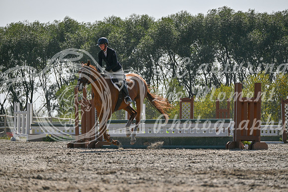 2025 - Petra - Harvest Horse Show - Sunday, September 14th 11417