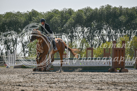 2025 - Petra - Harvest Horse Show - Sunday, September 14th 11418
