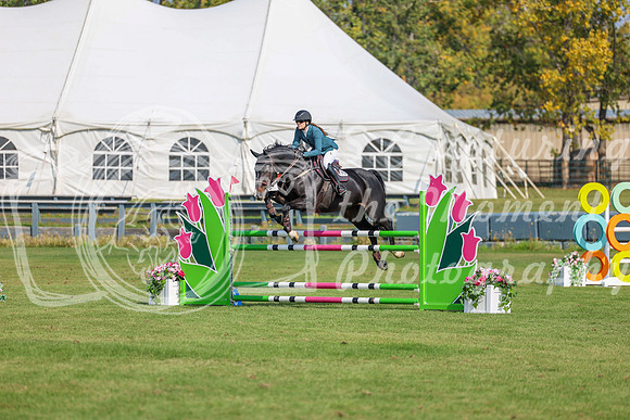 2025 - Shea - Fall Finale - Sunday September 14th - 05914