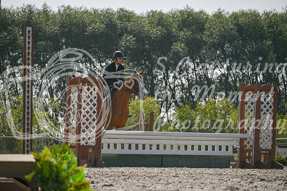 2025 - Petra - Harvest Horse Show - Sunday, September 14th 11419