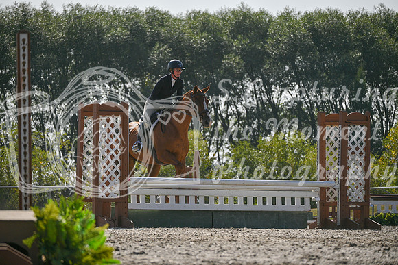 2025 - Petra - Harvest Horse Show - Sunday, September 14th 11420