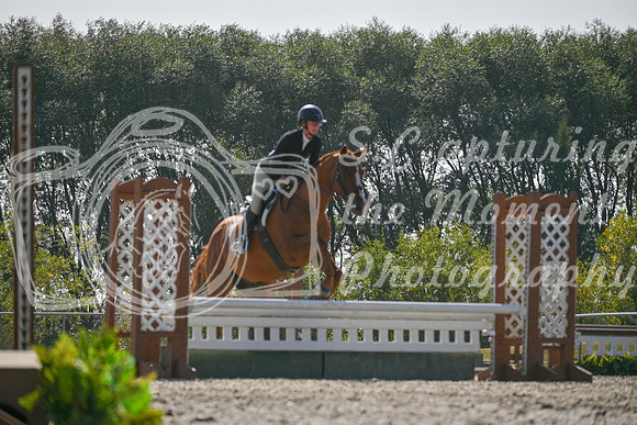 2025 - Petra - Harvest Horse Show - Sunday, September 14th 11421