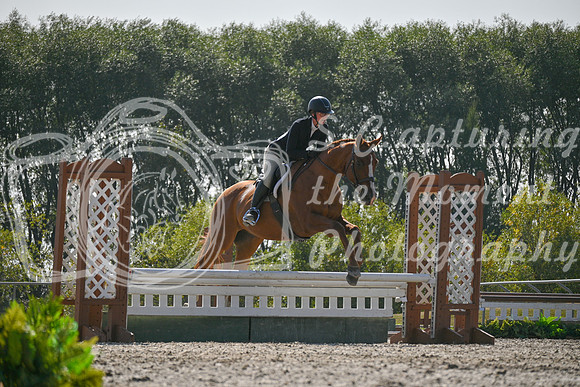 2025 - Petra - Harvest Horse Show - Sunday, September 14th 11422