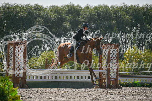 2025 - Petra - Harvest Horse Show - Sunday, September 14th 11423