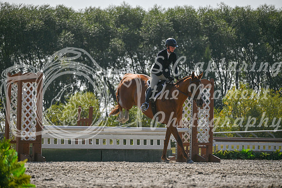 2025 - Petra - Harvest Horse Show - Sunday, September 14th 11424