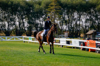 2025 - Haylee - Harvest Horse Show - Sunday, September 14th 01383
