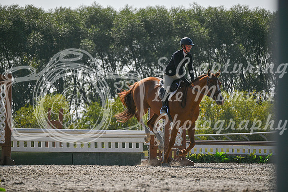 2025 - Petra - Harvest Horse Show - Sunday, September 14th 11426