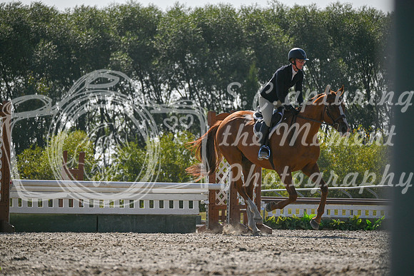 2025 - Petra - Harvest Horse Show - Sunday, September 14th 11427