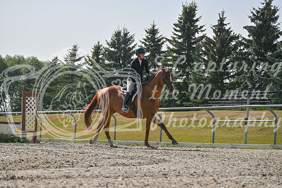 2025 - Petra - Harvest Horse Show - Sunday, September 14th 11428